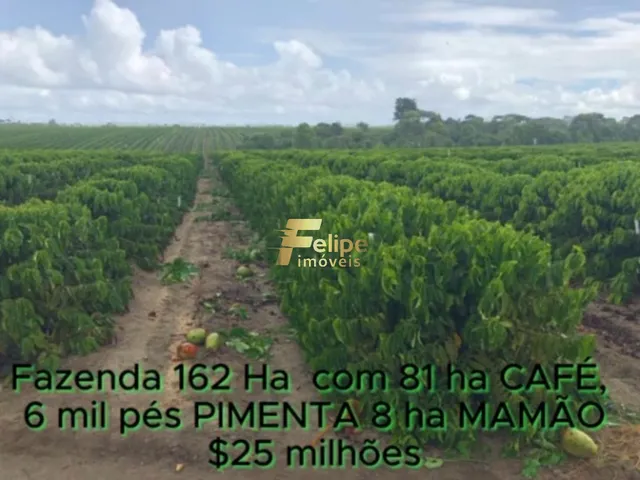 Imagem: FAZENDA DE ALTO PADRÃO EM EUNÁPOLIS/BA
