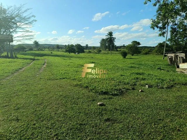 Imagem: MARAVILHOSA FAZENDA PARA PLANTIO DE CAFÉ