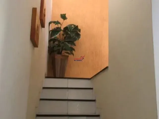 Imagem 16: Viçosa - Apartamento Padrão - Ramos