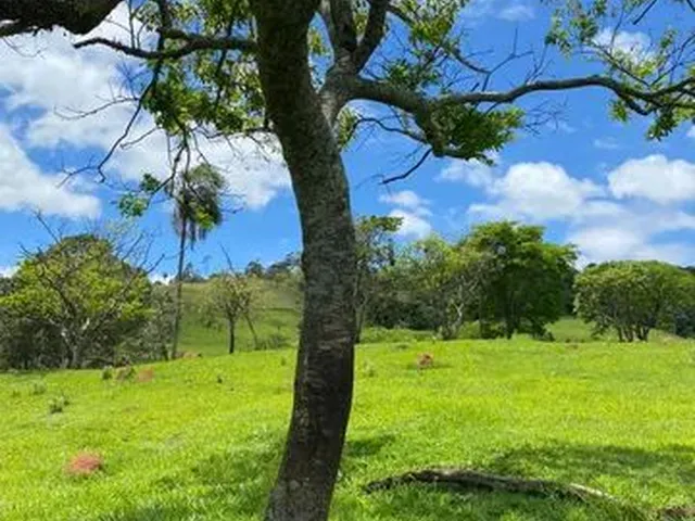 Imagem: Vende-Se Terrenos na Atibaia
