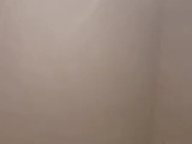 Imagem: Apê de Luxo Entregamos Pintado e Reformado!