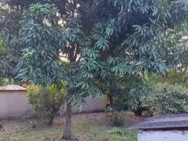 Imagem 5: Vende-Se Chácara em Vila Velha