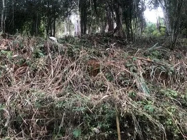 Imagem: Chácara