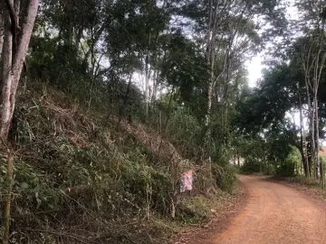 Imagem 2: Chácara Chácara com venda por R$55.000