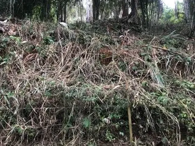 Imagem 3: Chácara Chácara com venda por R$55.000