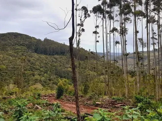 Imagem 1: Chácaras a Venda na Cidade de Caraá- Rs