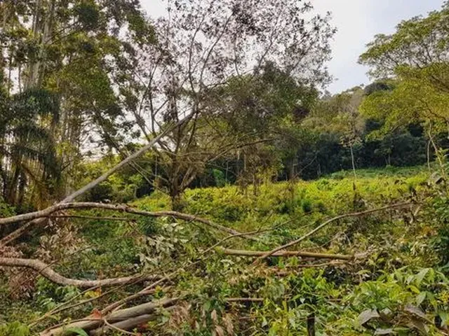 Imagem 2: Chácaras a Venda na Cidade de Caraá- Rs