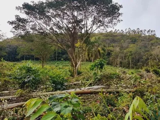 Imagem 3: Chácaras a Venda na Cidade de Caraá- Rs