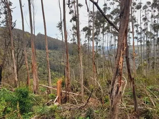 Imagem 4: Chácaras a Venda na Cidade de Caraá- Rs