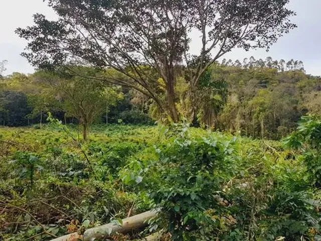 Imagem 5: Chácaras a Venda na Cidade de Caraá- Rs