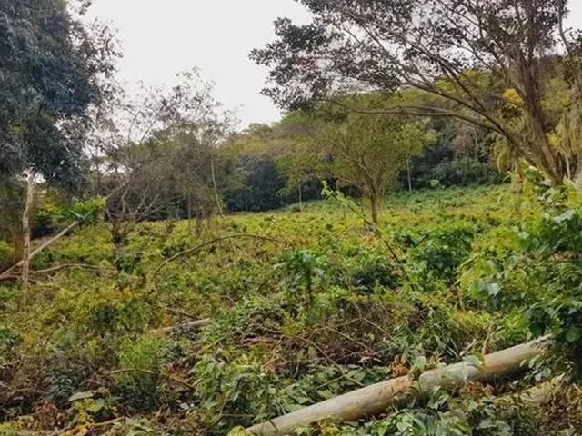 Imagem 6: Chácaras a Venda na Cidade de Caraá- Rs