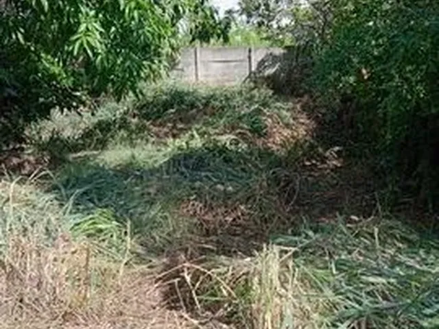 Imagem: Vendo Terreno em São Tomé de Paripe
