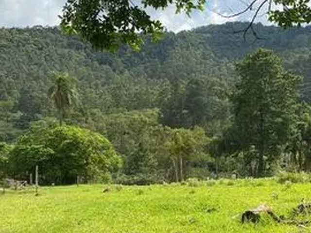 Imagem: Vendo Meu Terreno Me Melhor Região de Atibaia