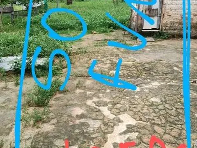 Imagem 2: Vendo Ou Troco com Volta para Mim