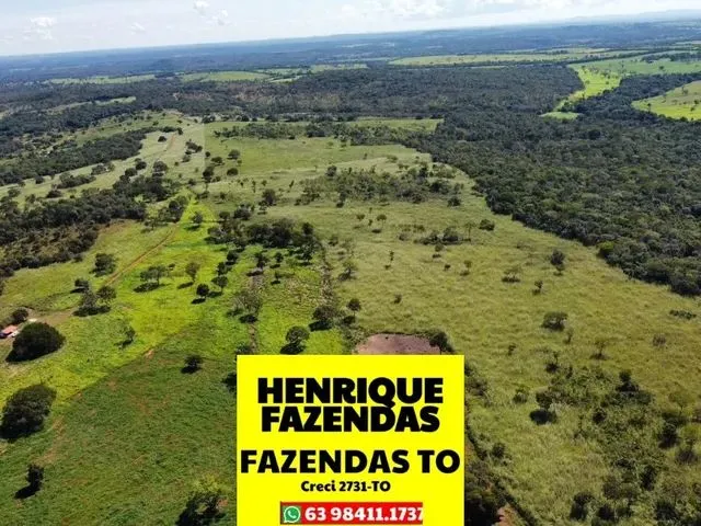 Imagem: Fazenda Dupla Aptidão Região Entre Paraíso