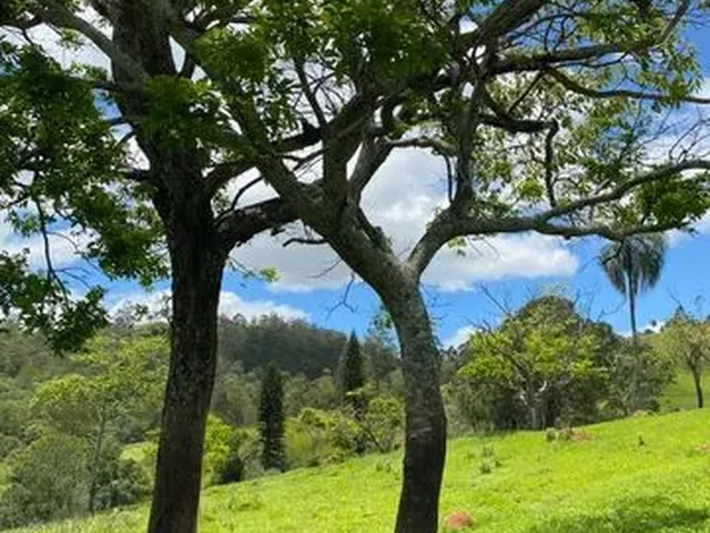 Imagem: Terreno Sem Consulta Ao Spc/Serasa