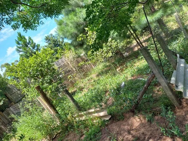 Imagem 3: Terreno com Poço 2.450M Águas Claras Parada 73