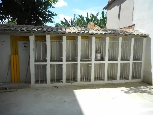 Imagem 7: .