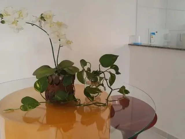 Imagem 8: Apartamento para Período Junino