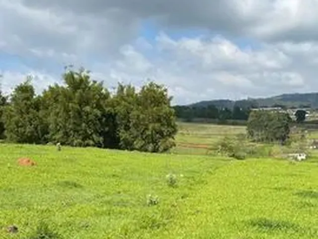 Imagem: Terrenos com Vista para Mata