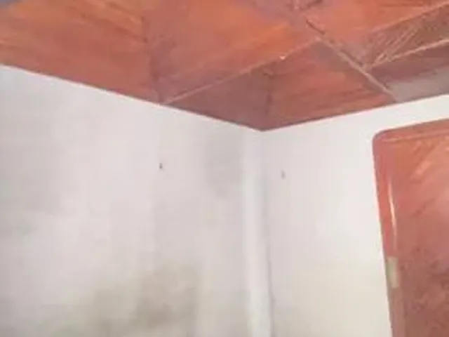 Imagem 12: Aluguel de Casa com Garagem com 2-4 Uma Suíte Promorar