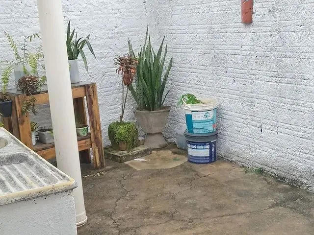 Imagem 6: Alugo Casa Panatis II