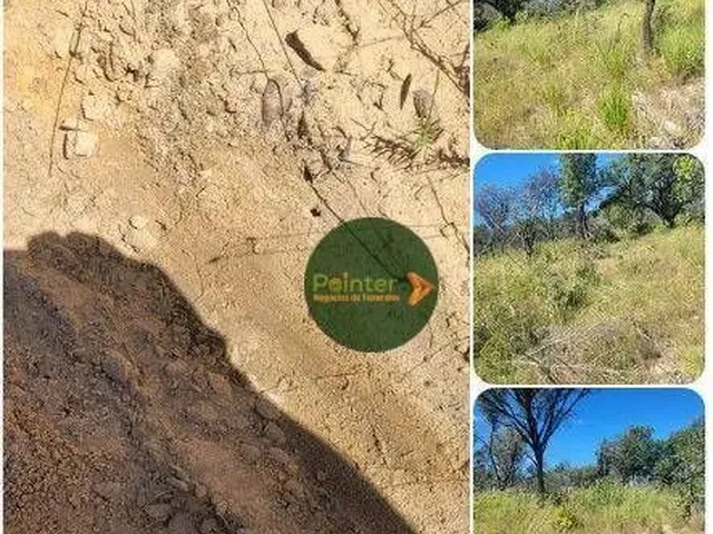 Imagem: Fazenda À Venda, 14520000 M² por R$ 15.000.000,00