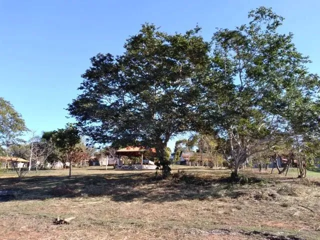Imagem 8: Vendo Rancho em Delfinópolis- Minas Gerais