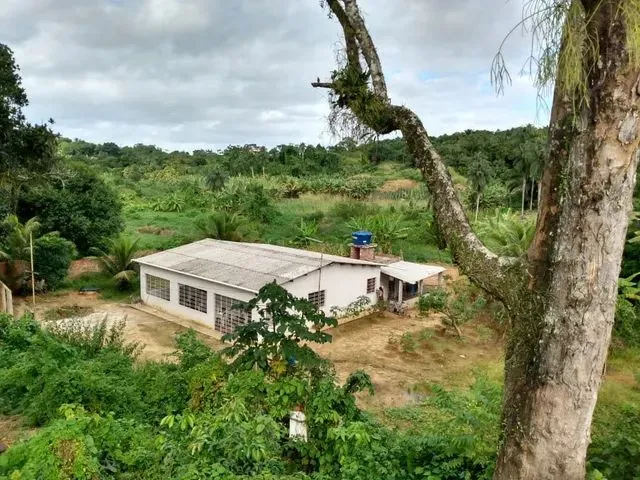 Imagem 3: Casa com Mini Sítio