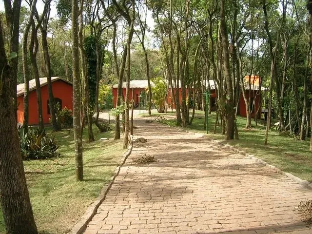 Imagem 16: Nova Lima - Casa Padrão - Macacos