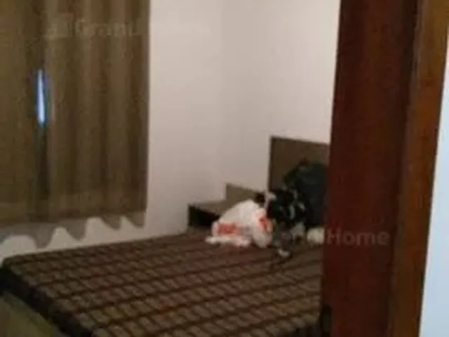 Imagem 6: Casa 6 Quartos em Nova Ponta da Fruta