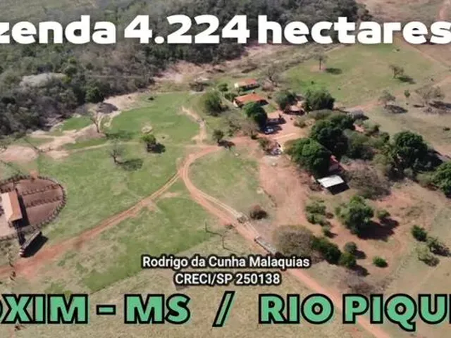 Imagem: Fazenda Pecuária À Venda em Coxim - Ms