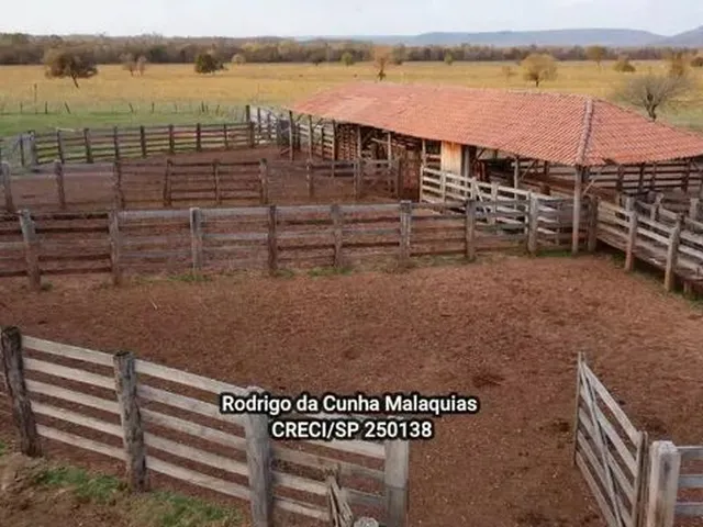 Imagem 4: Fazenda Pecuária À Venda em Coxim - Ms