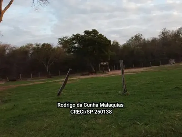 Imagem 5: Fazenda Pecuária À Venda em Coxim - Ms