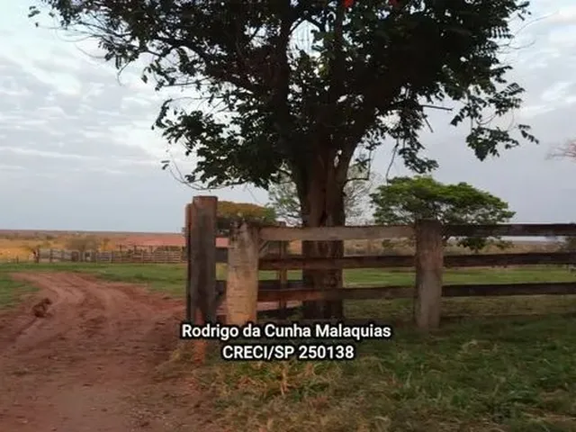 Imagem 8: Fazenda Pecuária À Venda em Coxim - Ms