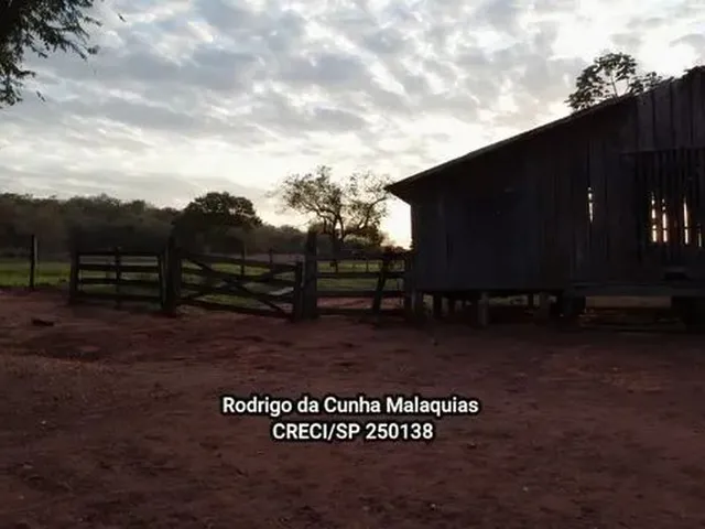 Imagem 10: Fazenda Pecuária À Venda em Coxim - Ms