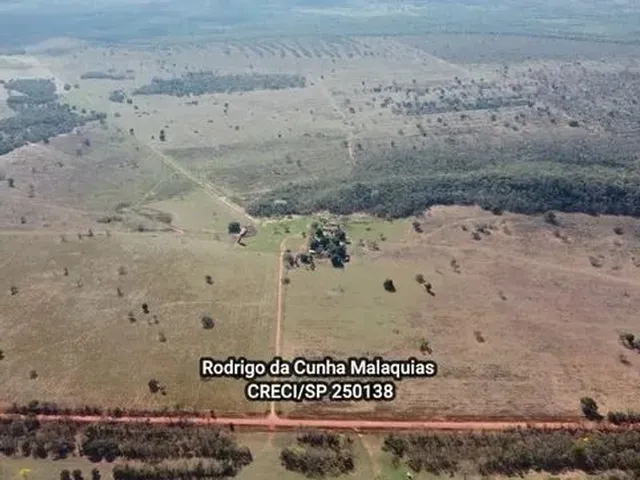 Imagem 12: Fazenda Pecuária À Venda em Coxim - Ms
