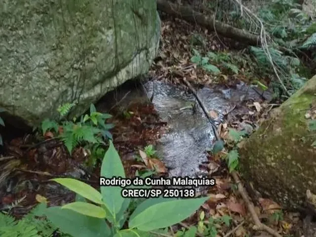 Imagem 15: Fazenda Pecuária À Venda em Coxim - Ms