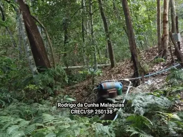Imagem 16: Fazenda Pecuária À Venda em Coxim - Ms