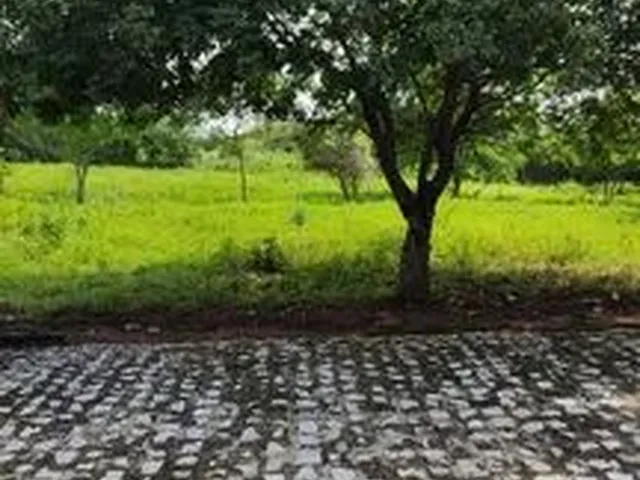 Imagem: Terreno de Chácara
