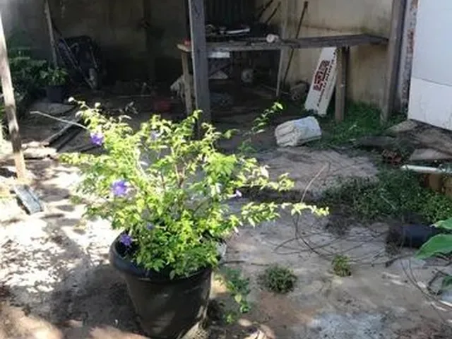 Imagem 2: Vende-Se Lote no Vila Rica