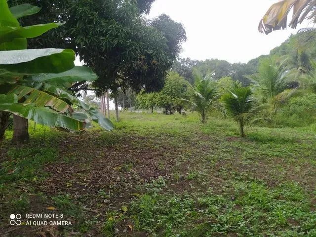 Imagem: Sítio, Chácara no Povoado Pastor, Boquim-Se