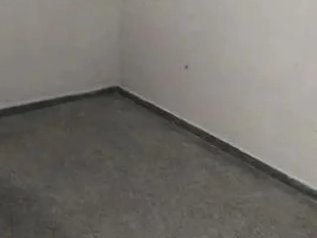 Imagem 7: Casa para Locação em Pinhais