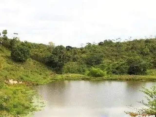 Imagem: Condomínio Alameda dos Ipês - Terrenos