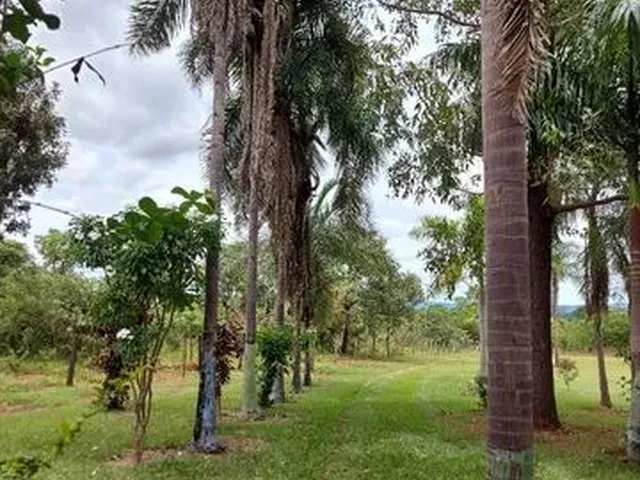 Imagem: Vendo Chacara na Vargem Bonita, Senador