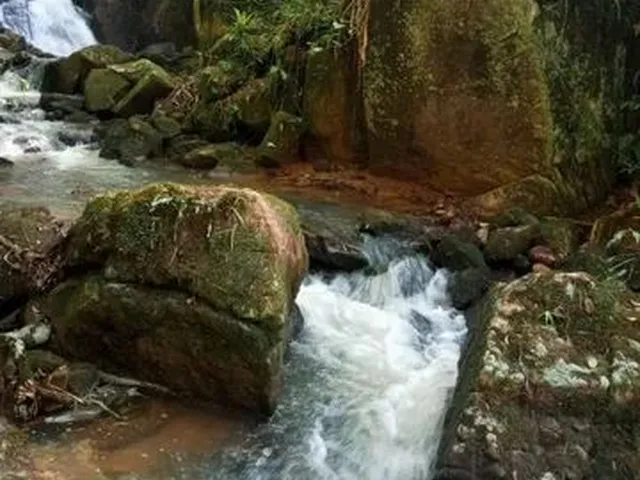 Imagem: Belíssimo Sítio em Palhoça