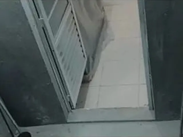 Imagem: Vendo Uma Casa