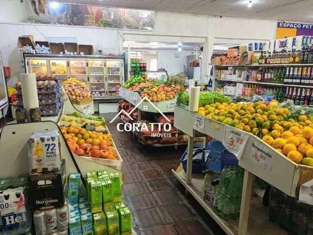 Imagem 3: Ponto Comercial Comercio para Venda em Centro Passo Fundo-Rs - 8078
