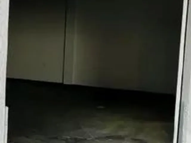 Imagem 14: Prédio Comercial - Setor Campinas