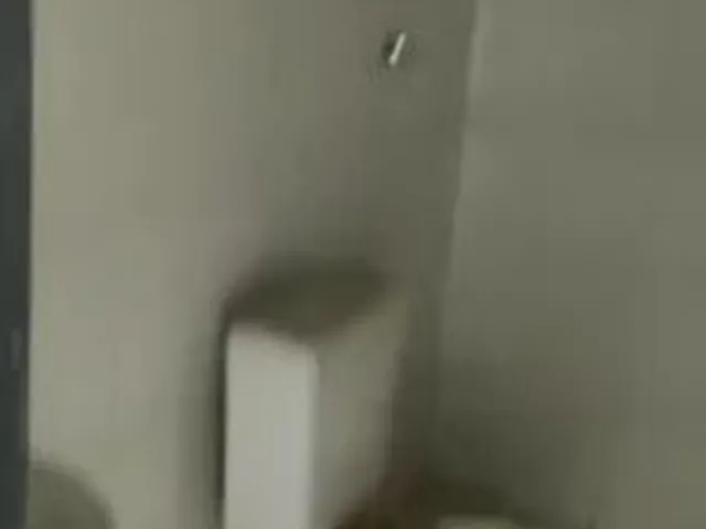 Imagem 15: Prédio Comercial - Setor Campinas